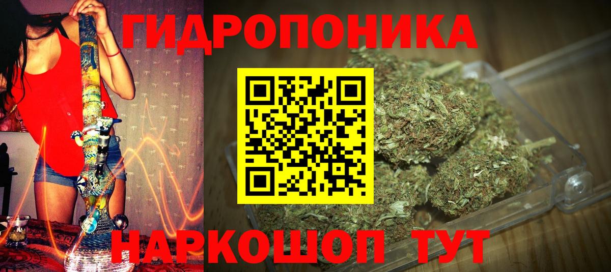 Канабис конопля  Вход с VPN  Благодарный  Конопля тримм  Конопля MAZAR  МАРИХУАНА MAZAR 